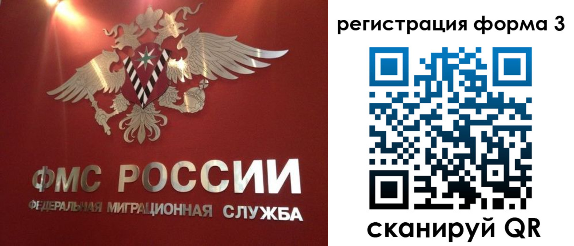 прописка гарантия в Карпинске